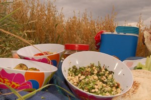 Brunch or Picnic Food Brunch or Picnic Food