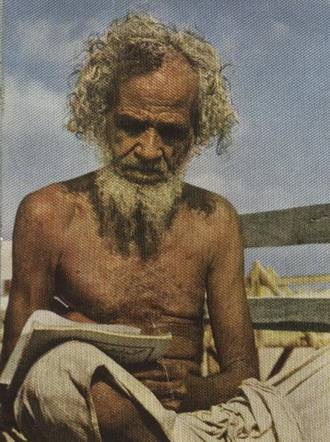 Studying under the Sun