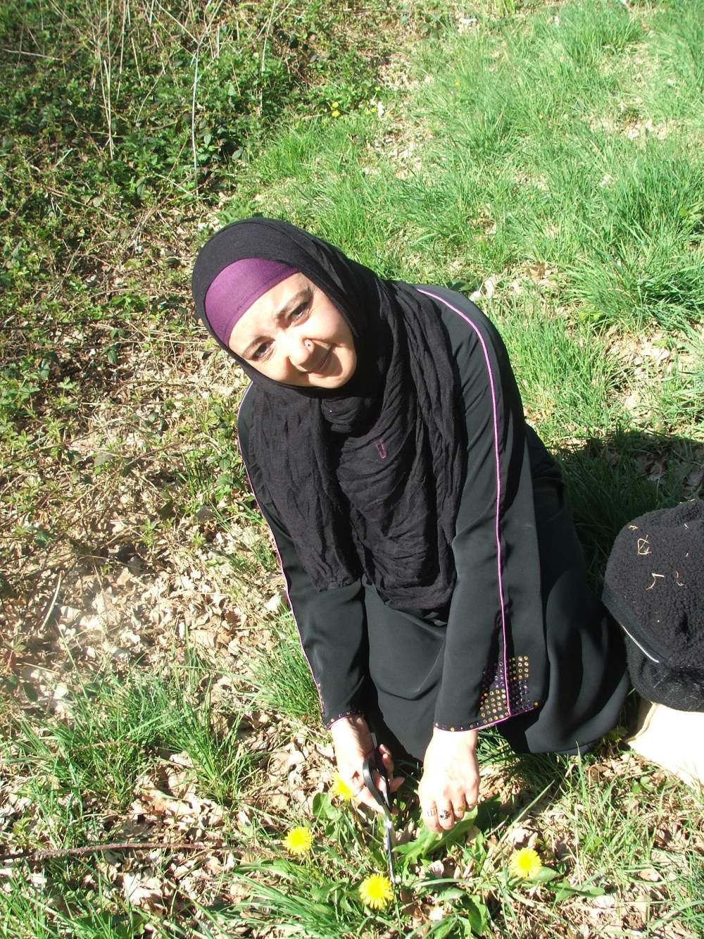 All Star Aminah Cutting Dandelion Leaves