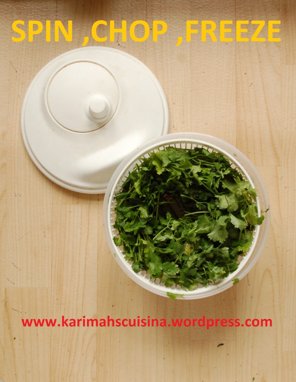 HERBS SPIN CHOP FREEZE