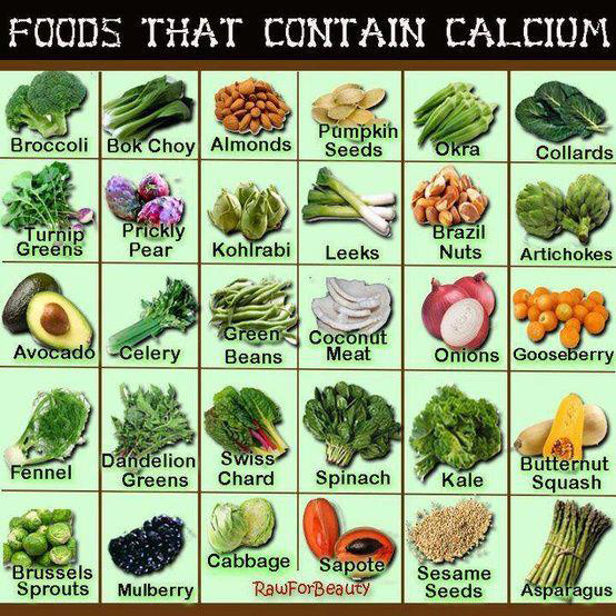Calcium Rich Foods