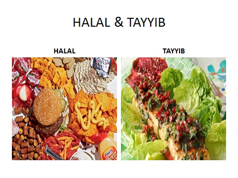 halal and taiyab foto 1