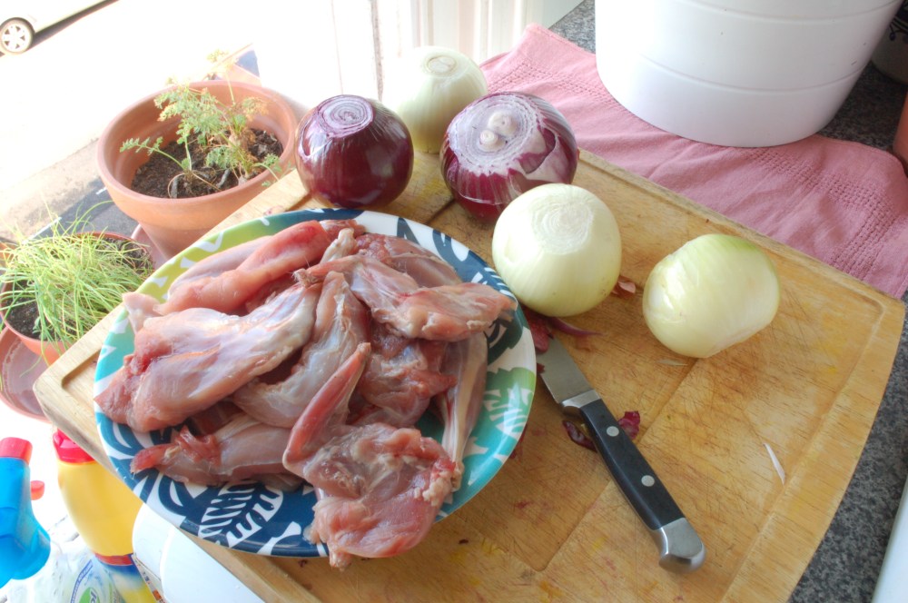 Freshly Shot Rabbit For Paella
