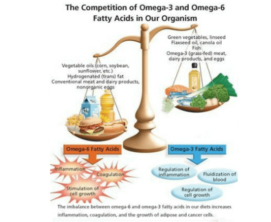 OMEGA 3 OMEGA 6 BALANCE