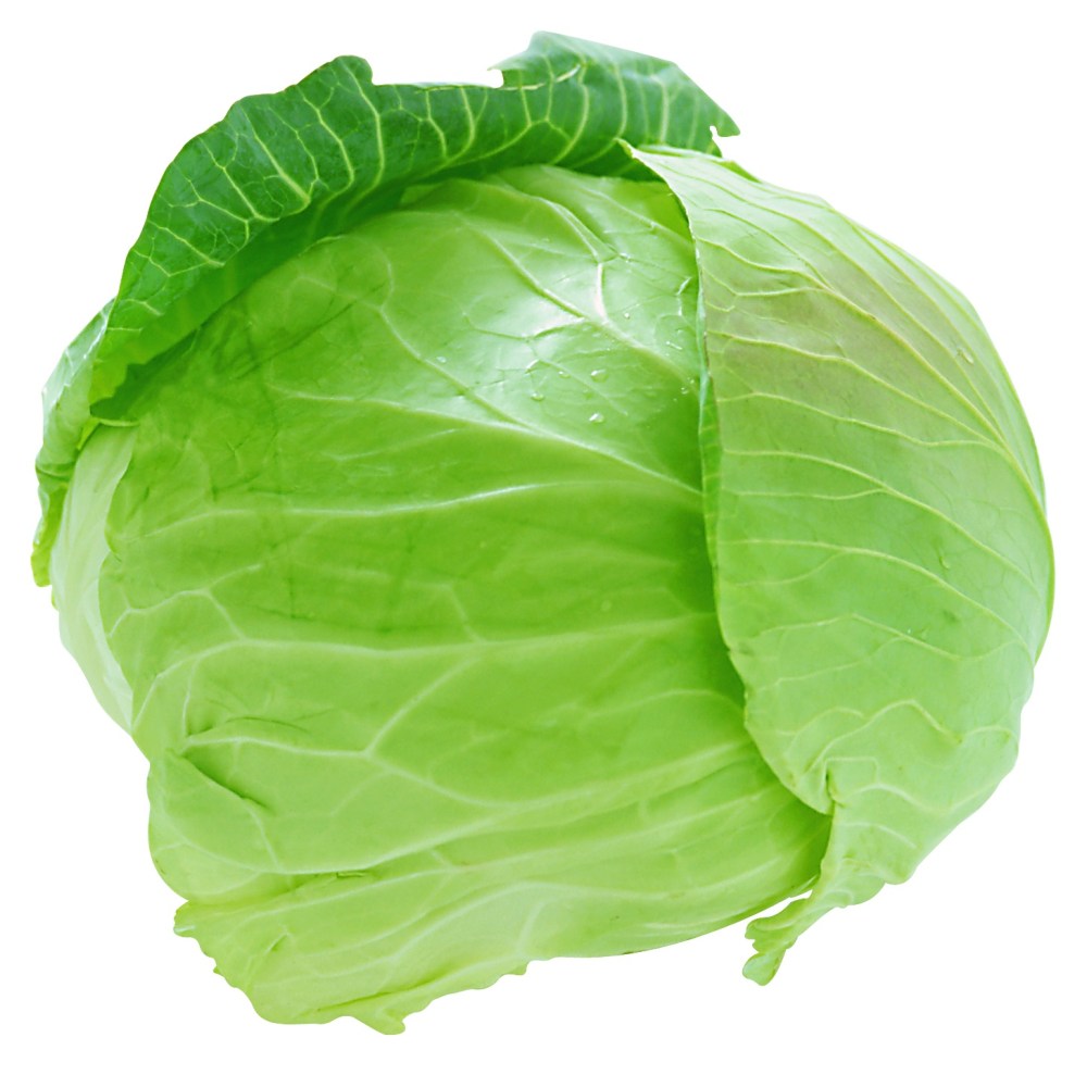 cabbage_png8803