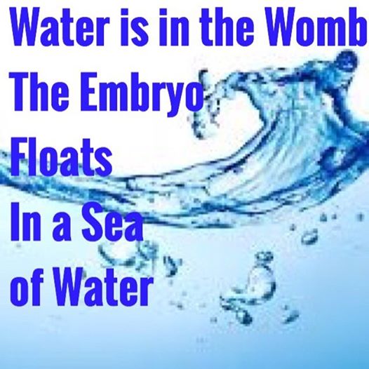 water embryo
