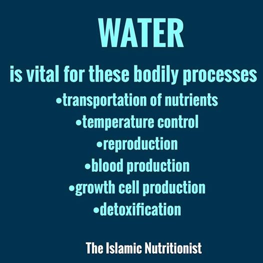 water uses