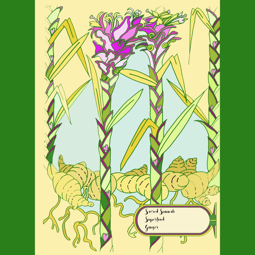 ginger colouring dec 2018