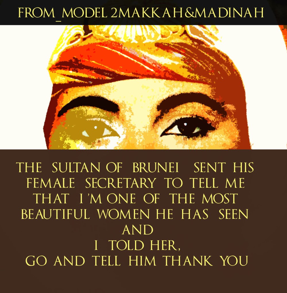 the sultan of brunei